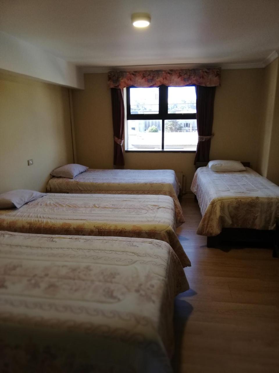 Hotel Bilbao Осорно Экстерьер фото